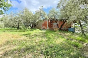 RUSTICO A TERRANUOVA BRACCIOLINI
