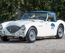 Austin Healey Altro 100 BN 1