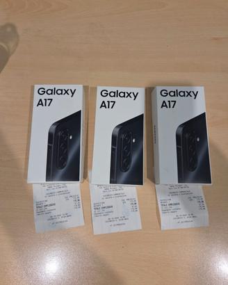Samsung Galaxy A17