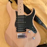 Chitarra elettrica  e amplificatore