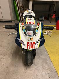 Minimoto pasini