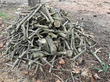 Legno ulivo da ardere