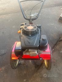 Motozappa benassi