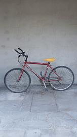 mountain bike