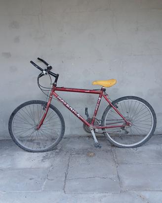 mountain bike