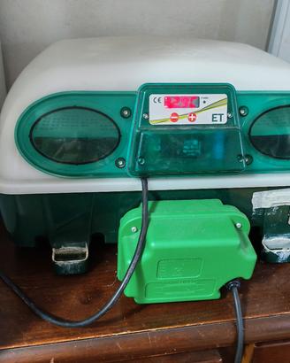 incubatrice