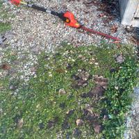 TAGLIASIPi ELETTRICO