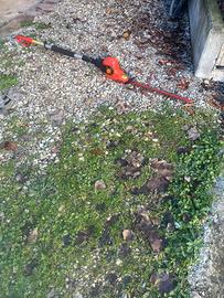 TAGLIASIPi ELETTRICO