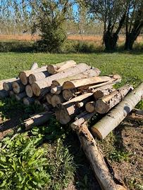 Legna secca di pioppo