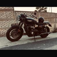 Triumph t20 black