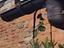 Immagine 15