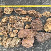 Dragon Stone per acquascaping