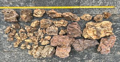 Dragon Stone per acquascaping