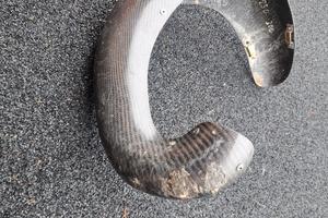 Protezione  marmitta/espansione