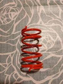 molla di contrasto Malossi per NRG