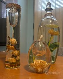 Vasi in vetro con immersi fiori veri