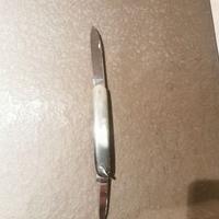 Set 12 temperino Corno 2 lame Indiana Maniago