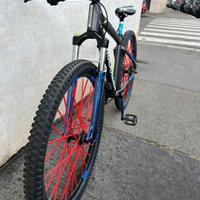 bike wheelie 