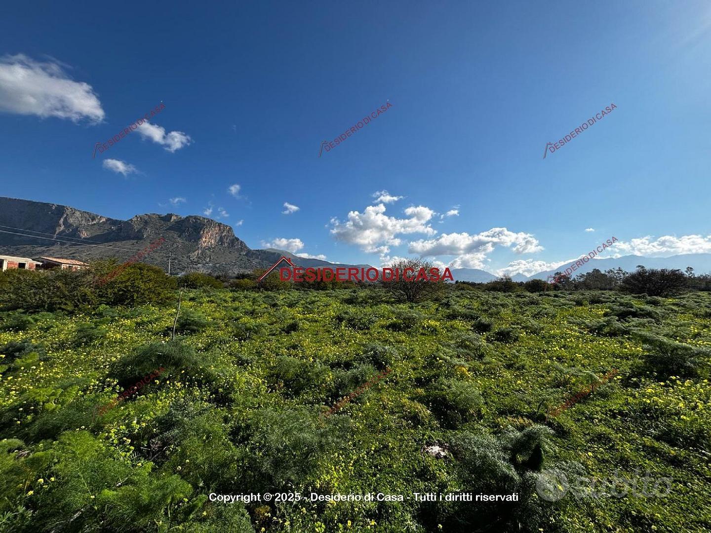 Terreno, Terrasini. - Vista 4