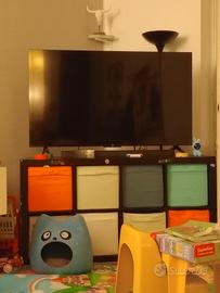 tcl55