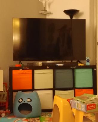 tcl55