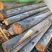 Pali in castagno e cemento