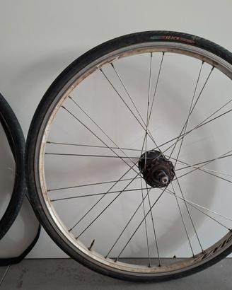 Ruota 26" posteriore scatto fisso e singlespeed