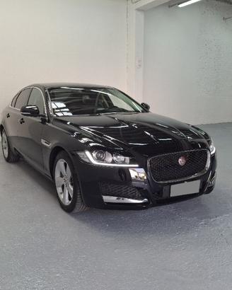 JAGUAR XF 2ª serie (X260) XF 2.0 D 180 CV aut...