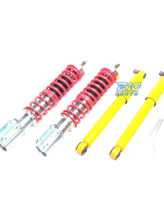 SOSPENSIONE FILETTATA TA TECHNIX RENAULT MEGANE 19