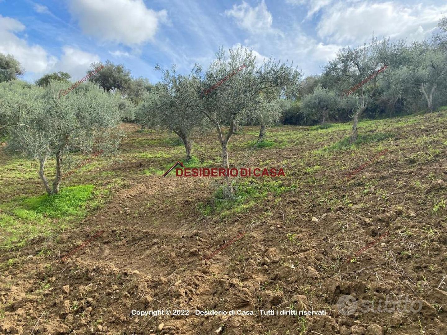 Terreno, Caccamo. - View 6