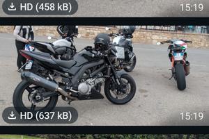 Suzuki SV 1000 