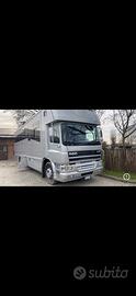 Camion trasporta cavalli