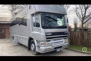 Camion trasporta cavalli