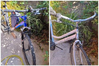 2 Bici: MTB Fuji & olandese Denver