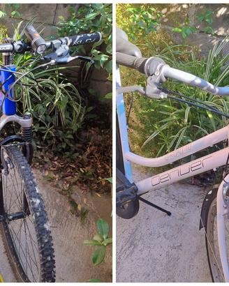 2 Bici: MTB Fuji & olandese Denver