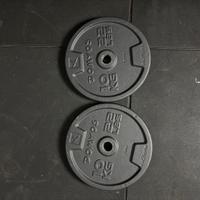 2 Dischi Domyos 10 kg (tot 20kg)