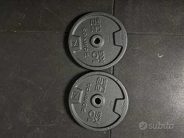 2 Dischi Domyos 10 kg (tot 20kg)