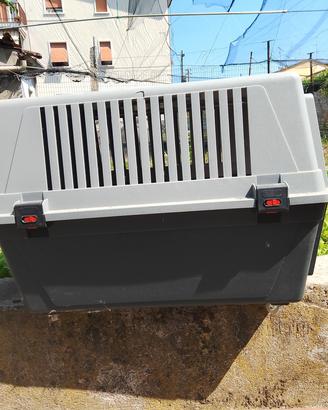 TRASPORTINO CON ROTELLE