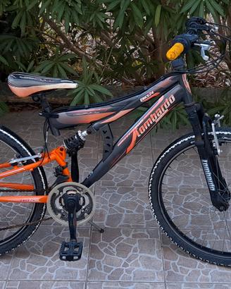 Mtb Lombardo da 24"