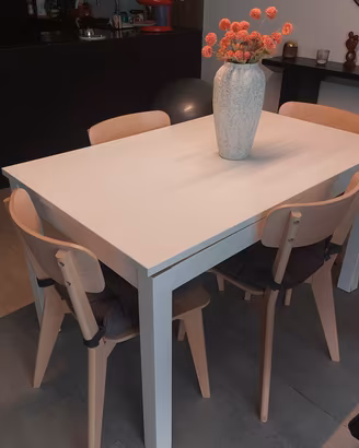 tavolo e sedie ikea