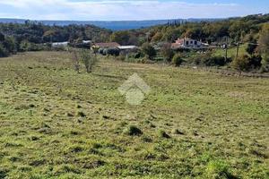 TER. AGRICOLO A TREVIGNANO ROMANO