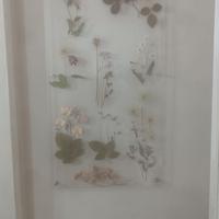 Quadro 
