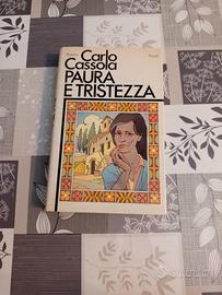 libro - paura e tristezza 