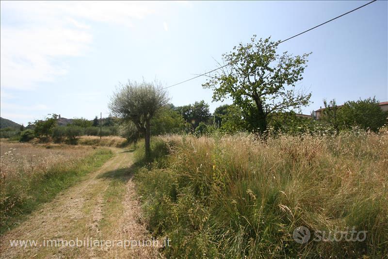 TR72 - Scrofiano terreno in posizione coll - Altro