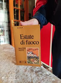Walter Nesti, Estate di fuoco, Giunti Marzocco