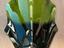 Immagine 2