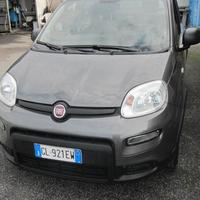 Fiat Panda 1.0 BENZINA FireFly S&S Hybrid FINANZIA