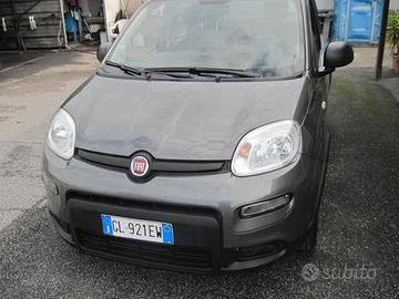 Fiat Panda 1.0 BENZINA FireFly S&S Hybrid FINANZIA