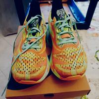 scarpe da running Asics Noosa Tri 15 tg 42.5