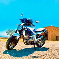   Suzuki Gladius 